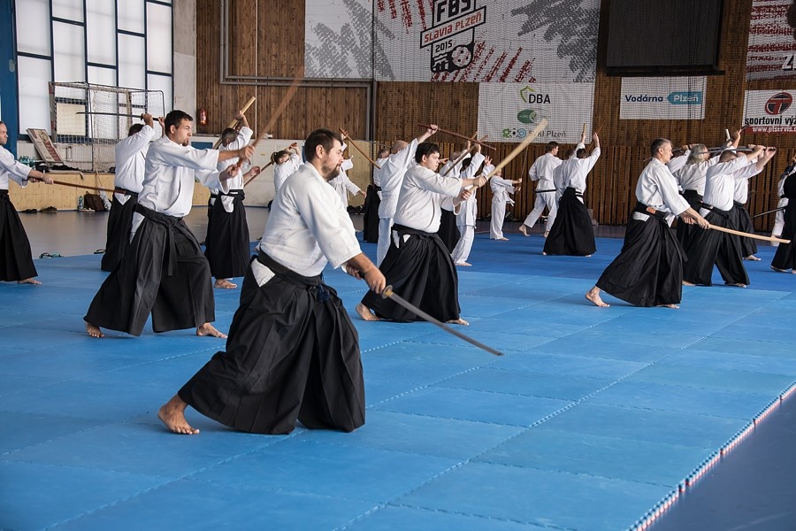 0925A Seminář Aikido 07. 08. 2025, v Plzni - dopoledne