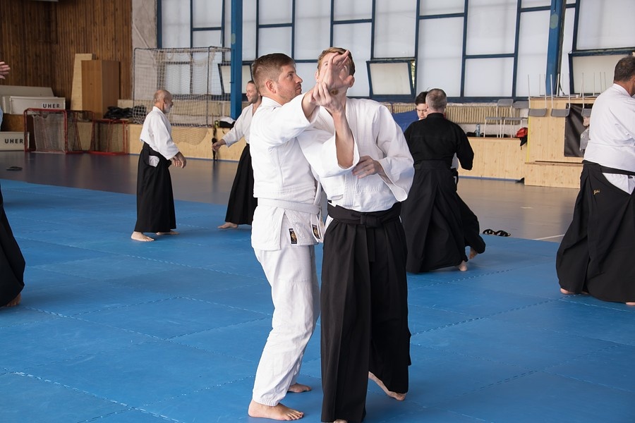 0925C Seminář Aikido 08. 08. 2025, v Plzni - dopoledne