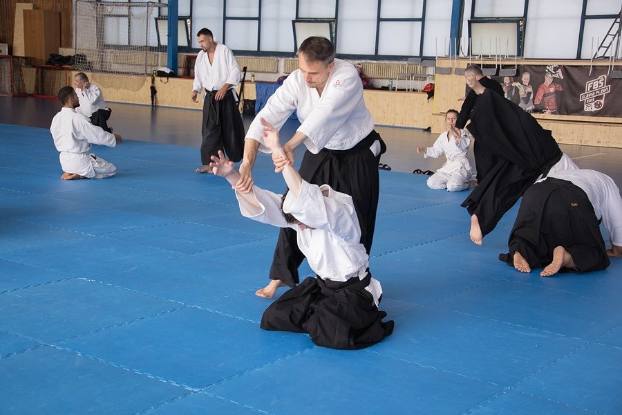 0925C Seminář Aikido 08. 08. 2025, v Plzni - dopoledne