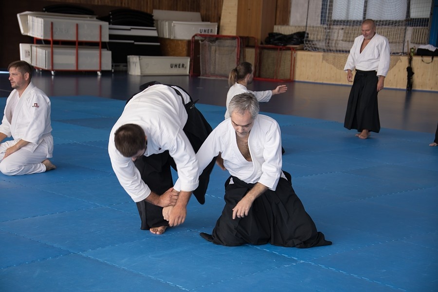 0925C Seminář Aikido 08. 08. 2025, v Plzni - dopoledne