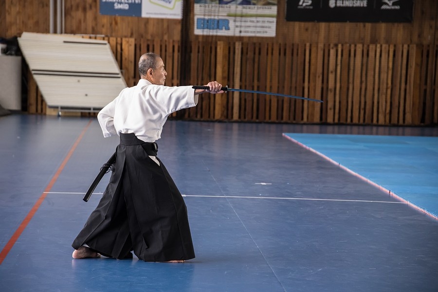 0925D Seminář Aikido 09. 08. 2025, v Plzni - odpoledne