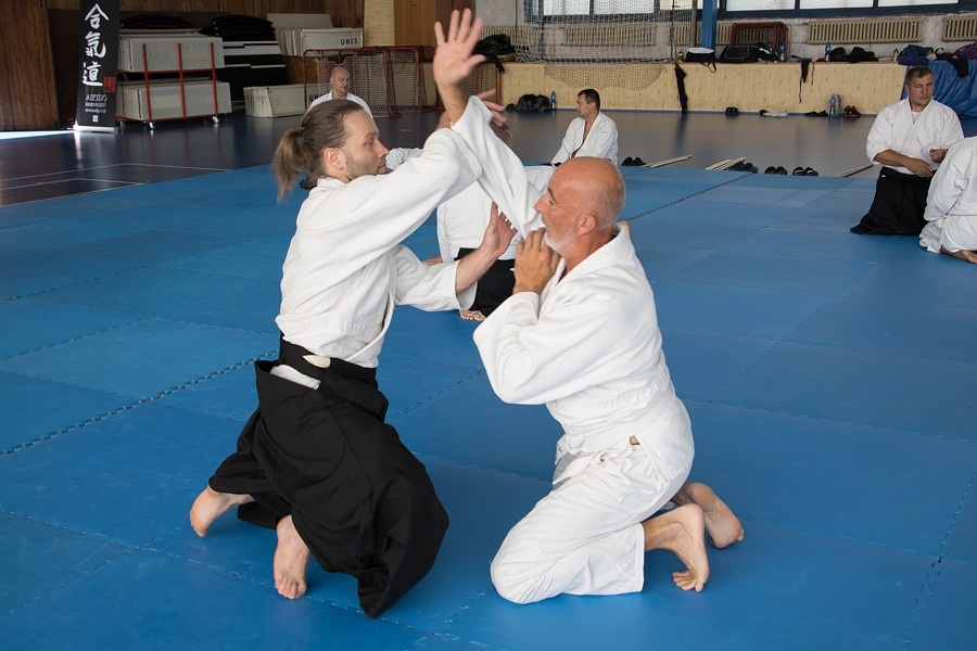 0925F Seminář Aikido 09. 08. 2025, v Plzni - dopoledne