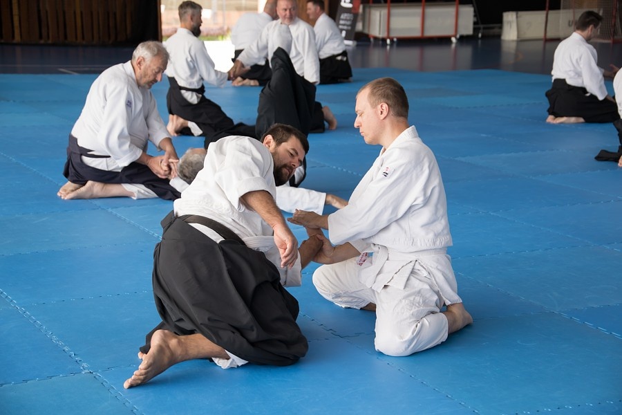 0925F Seminář Aikido 09. 08. 2025, v Plzni - dopoledne