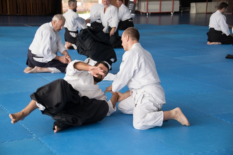 0925F Seminář Aikido 09. 08. 2025, v Plzni - dopoledne