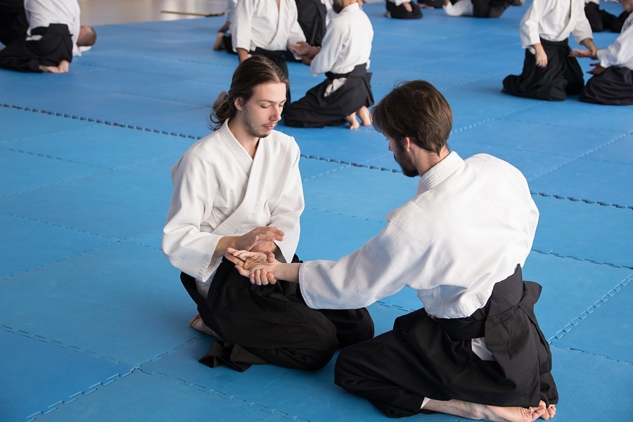 0925F Seminář Aikido 09. 08. 2025, v Plzni - dopoledne