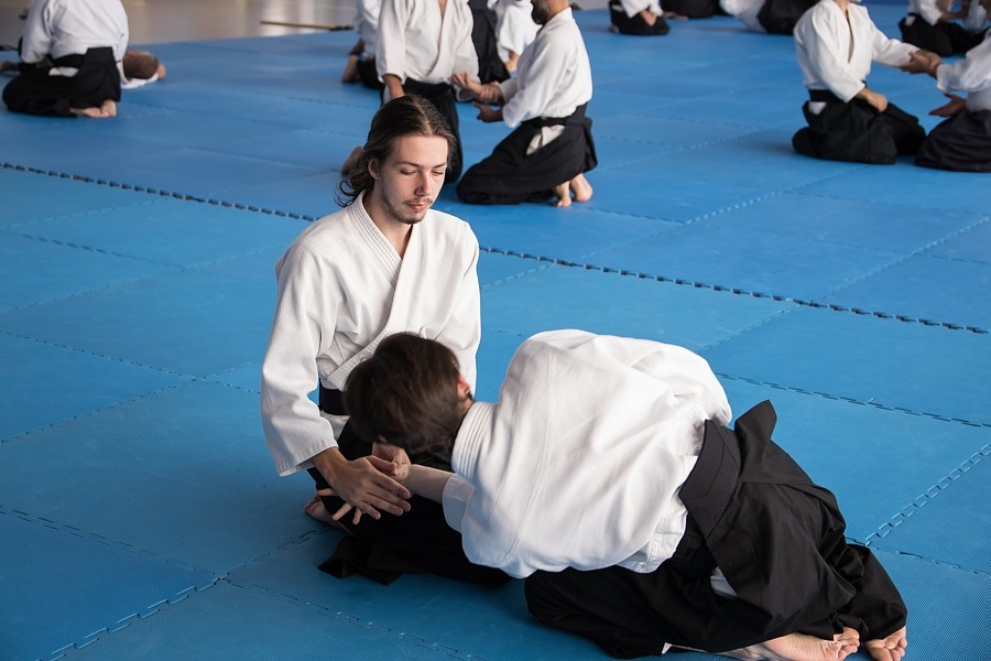 0925F Seminář Aikido 09. 08. 2025, v Plzni - dopoledne