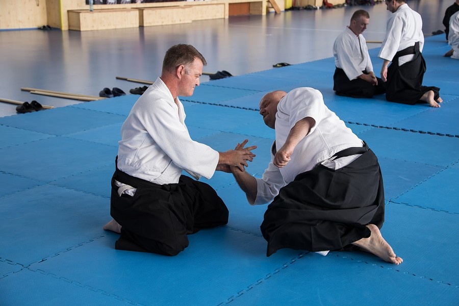 0925F Seminář Aikido 09. 08. 2025, v Plzni - dopoledne